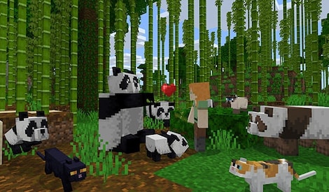 https://images.g2a.com/470x276/1x1x0/minecraft-java-bedrock-edition-pc-microsoft-store-key-global-i10000326476001/19adde96d07f4823ade13562