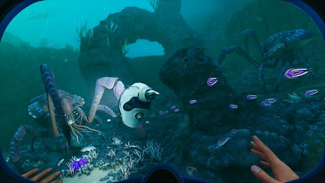 https://images.g2a.com/470x276/1x1x0/subnautica-2-pc-steam-gift-global-i10000510485001/dcf3730e70d547d8a3d0caf2